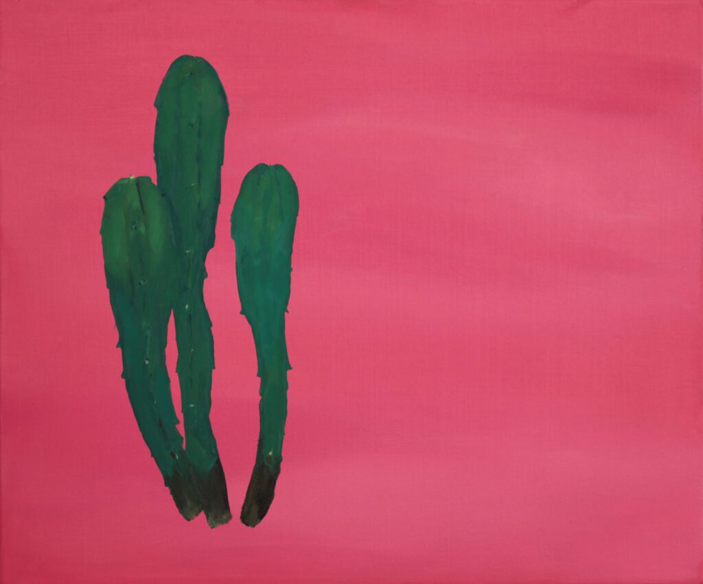 Cactus, oil on canvas, 20 x 24 in | 50 x 60 cm, 2011