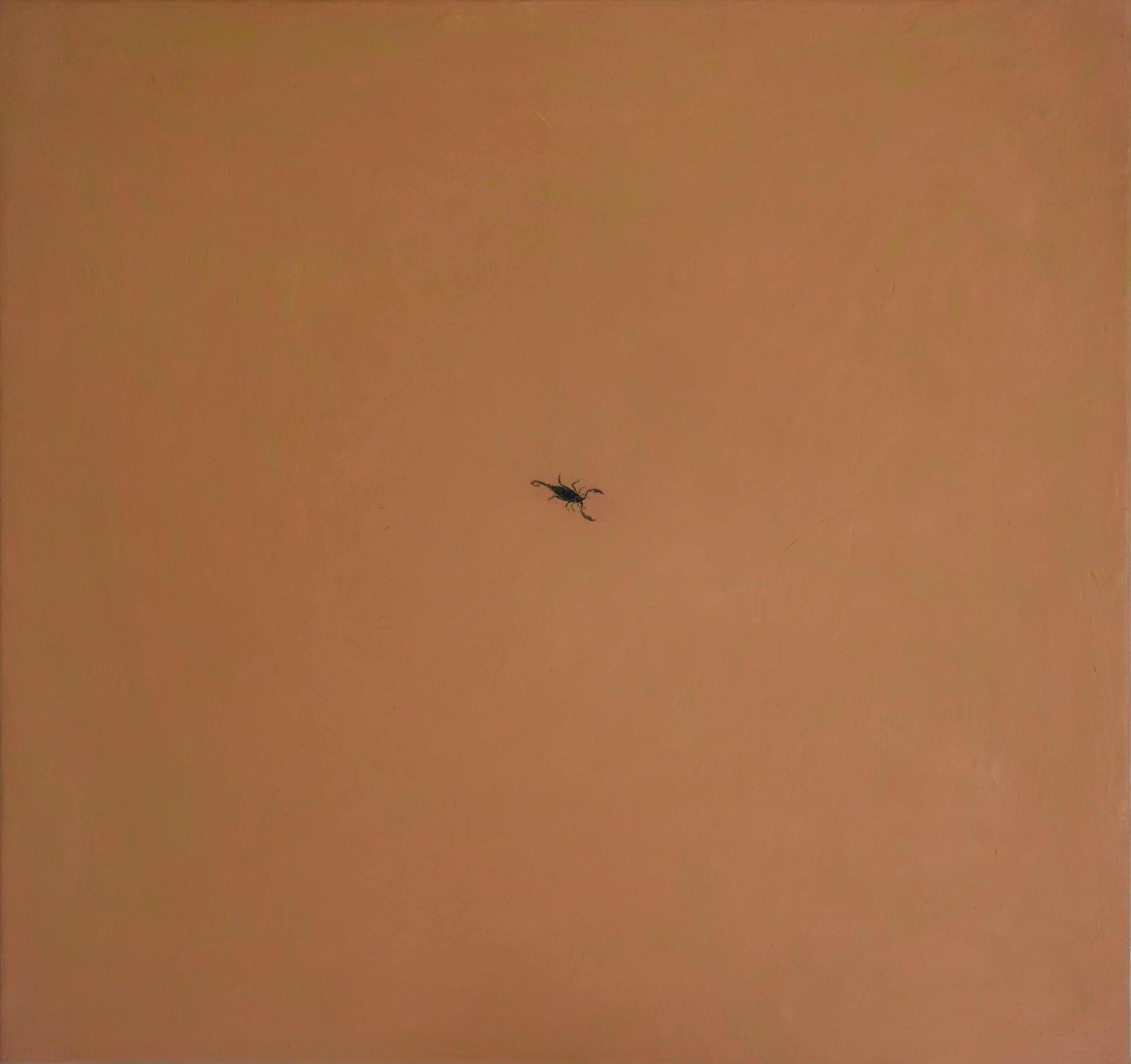 Scorpion, oil on canvas, 19 x 18 in | 46 x 43.5 cm