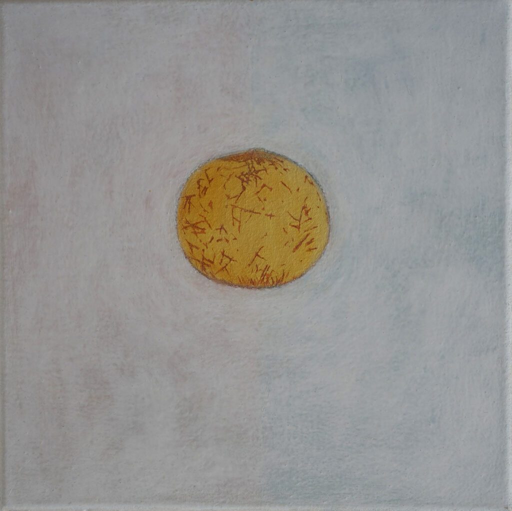 Coyote Melon, oil on canvas, 12 x 12 in | 30 x 30 cm